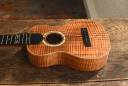 DSC_0329